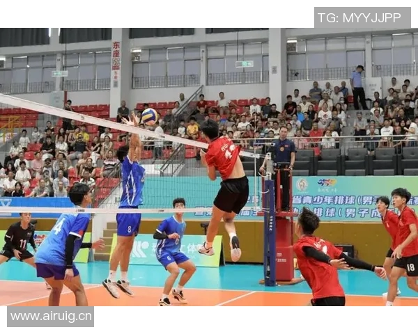 排球盛宴：深入了解成都排球队的比赛策略与经验分享