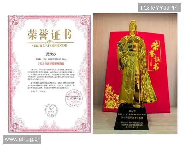 《聚焦行业荣誉与卓越成就探讨，深入解析各类奖项的重要性与影响力》